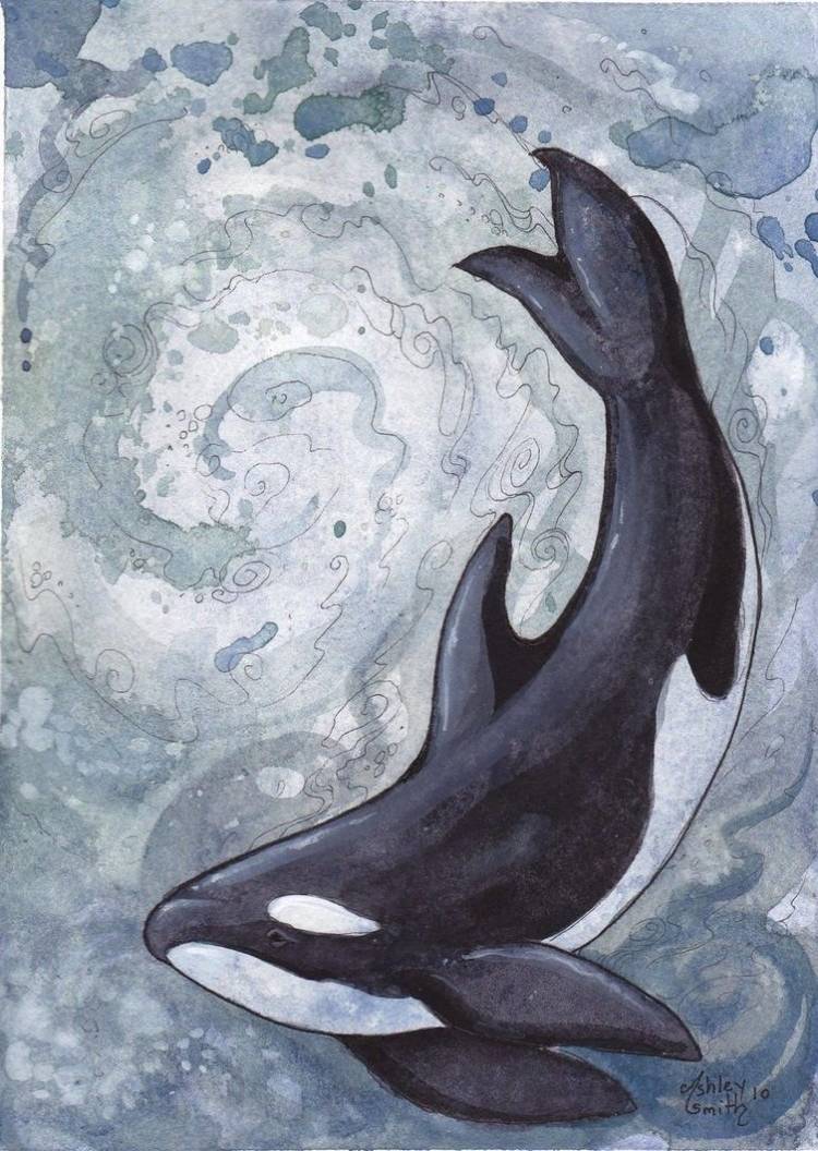 Картинки для срисовки кит