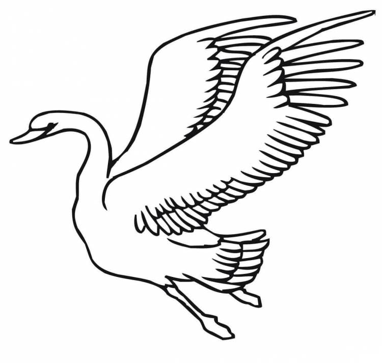 Рисунок летящего лебедя