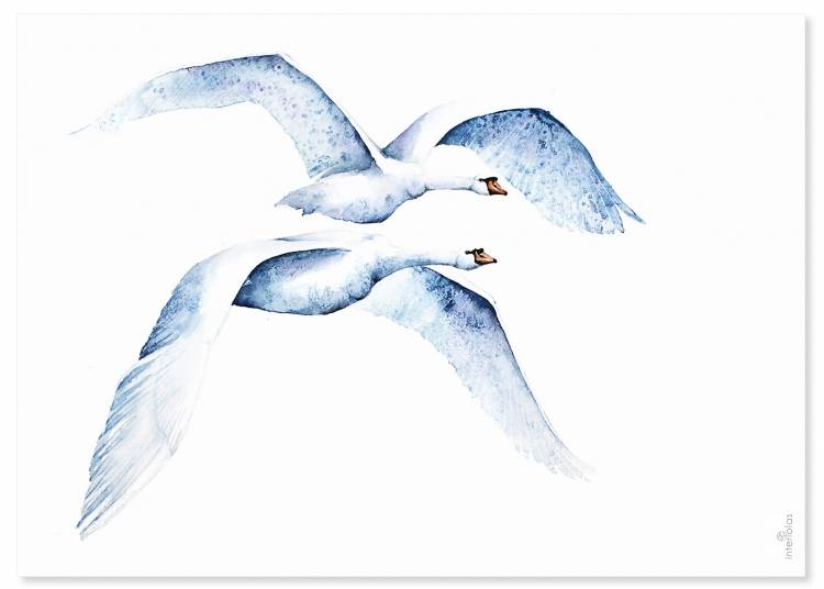 Рисунок летящего лебедя