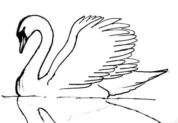 Як з двійки намалювати лебедя