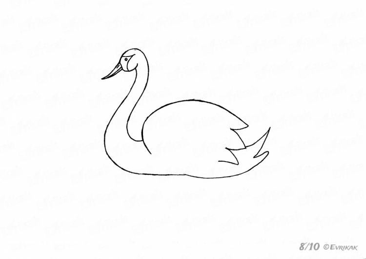 Рисунок летящего лебедя поэтапно