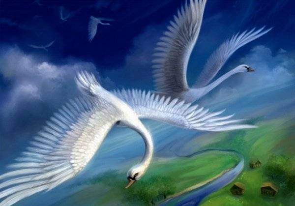 Картинки летящего лебедя в небеса 
