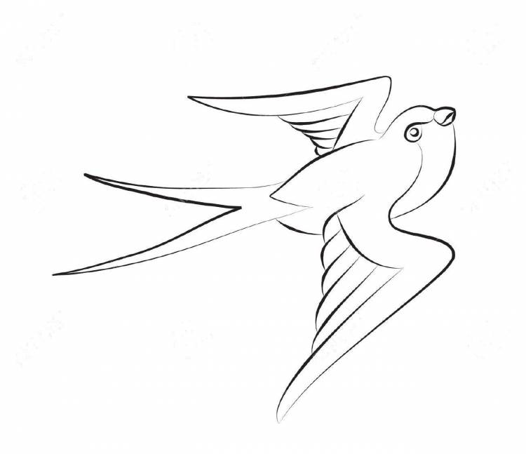 Идеи для срисовки ласточка птица 