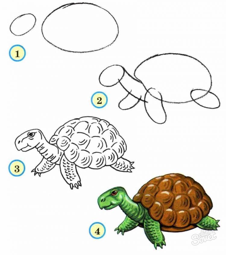 Как нарисовать муравья вопросика и мудрую черепаху