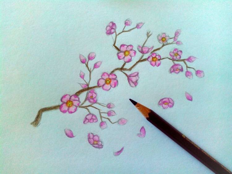 Легкие японские рисунки для срисовки