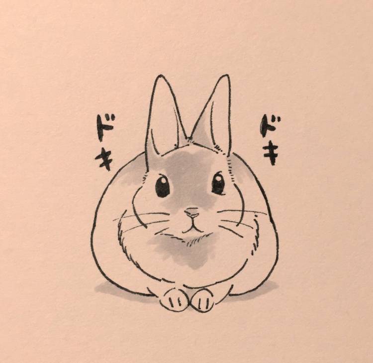 Рисунки кролика для срисовки легкие