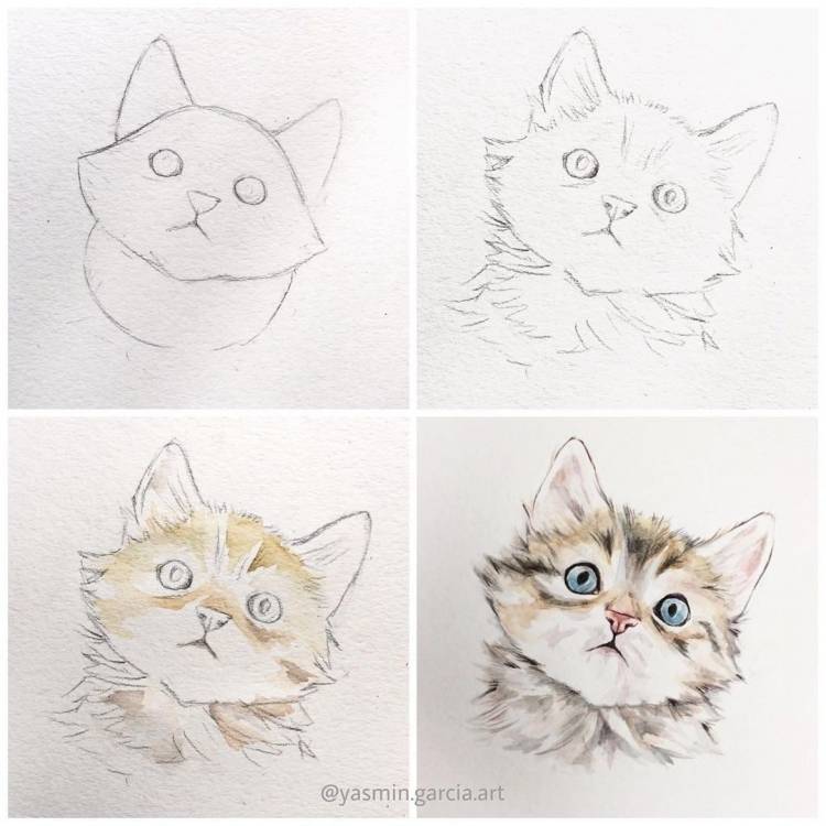 Котик рисунок карандашом легкий