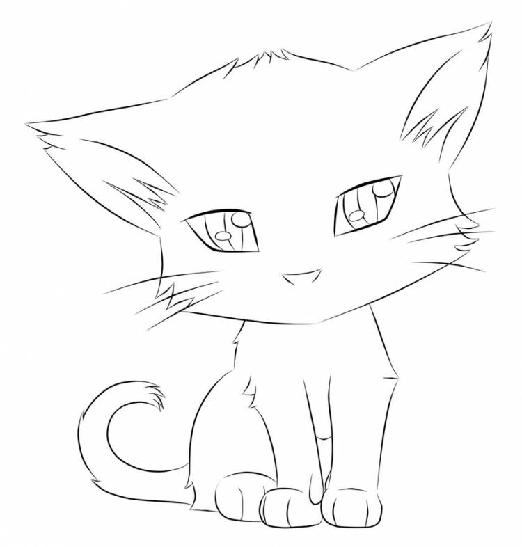 Рисунок карандашом аниме кошка