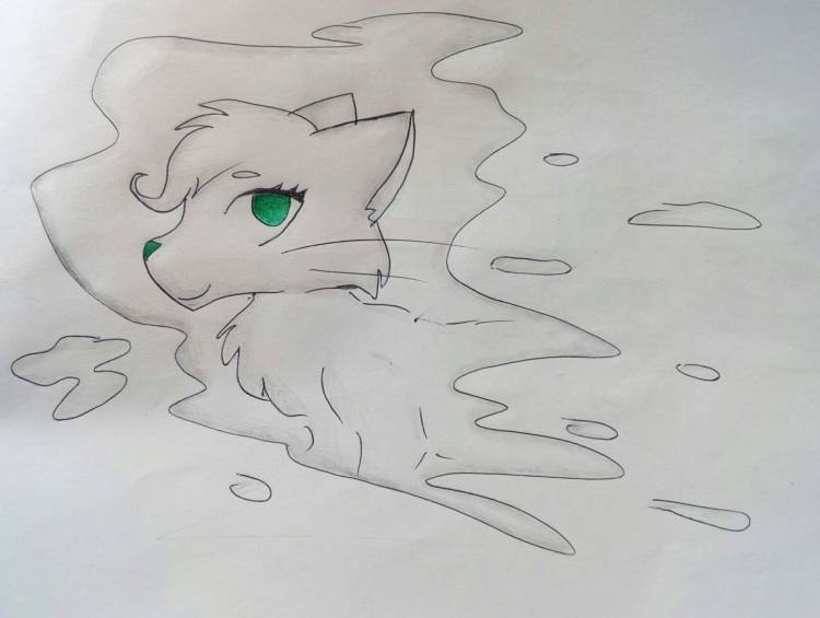 Рисунки котов воителей карандашом аниме