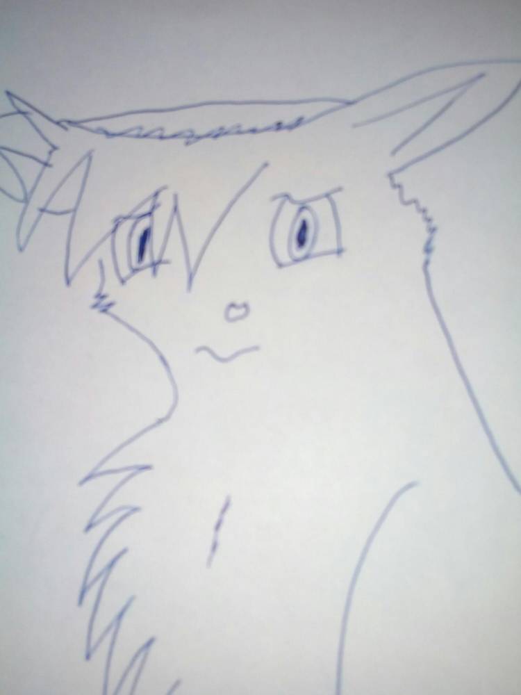 Рисунки котов воителей карандашом аниме