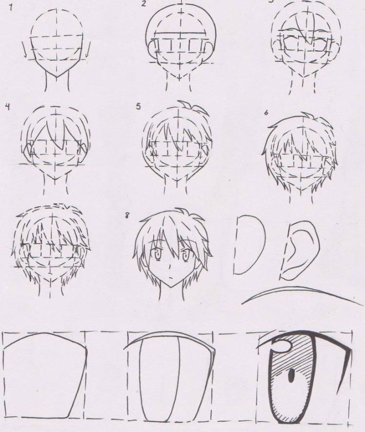 Схема рисования головы аниме