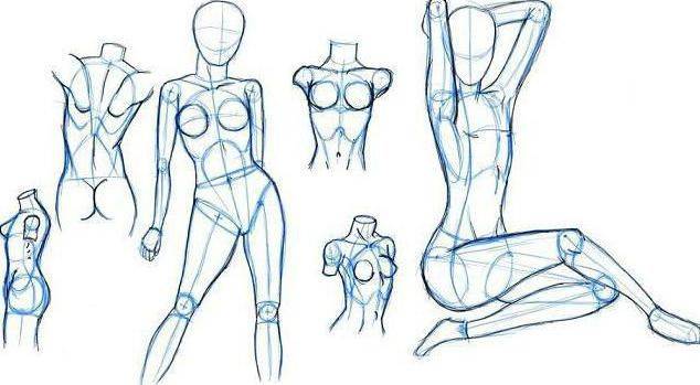 как рисовать женское тело