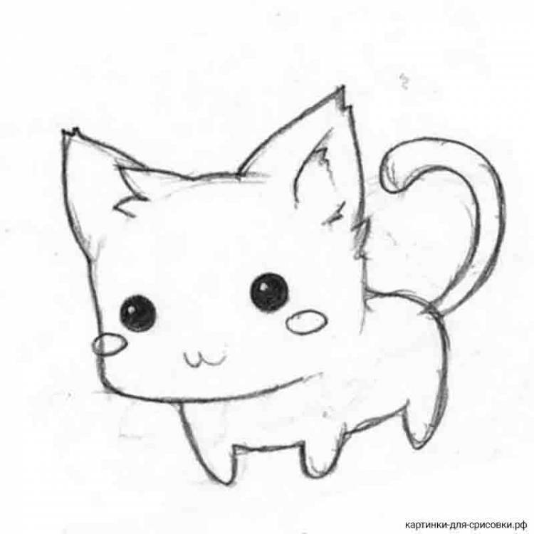 Рисунки для срисовки аниме животные 