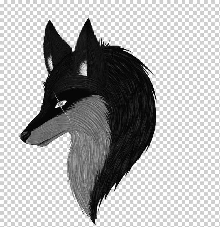 Рыжая лиса Рисование Серый волк, мальчик аниме, млекопитающее, животные, carnivoran png