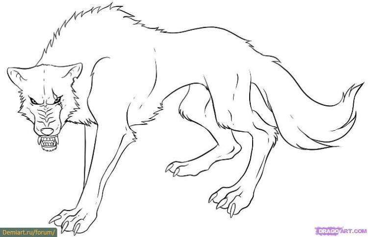 как нарисовать волка аниме