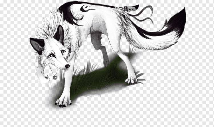 Anime Drawing Pack, злой волк, млекопитающее, кошка, как млекопитающее png