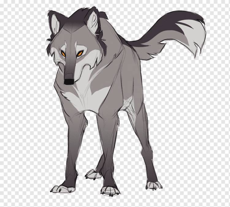 Рисунок серого волка, млекопитающее, карандаш, carnivoran png