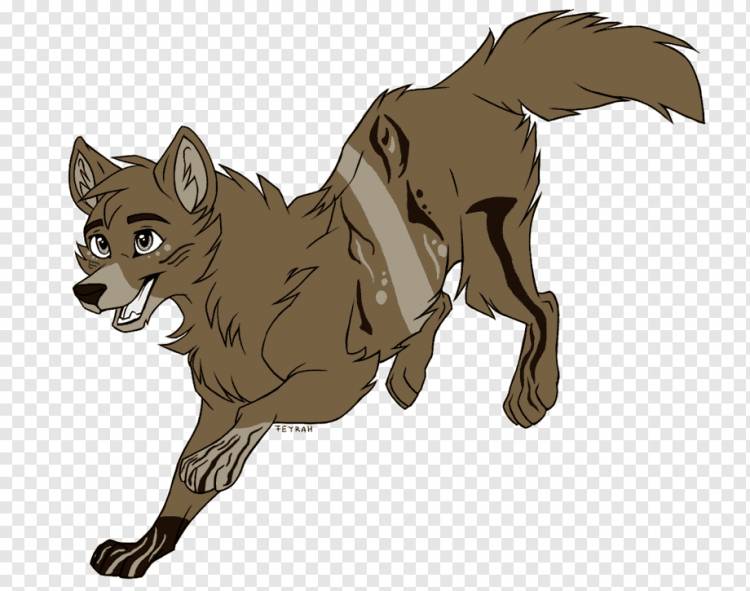 Рыжая лиса серый волк пушистый фэндом, аниме волк фото, млекопитающее, carnivoran, пушистый Fandom png