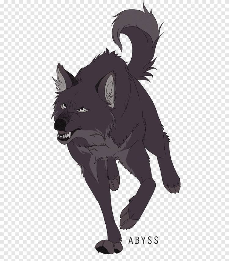 Серый волк, рисунок мультфильм, аниме, млекопитающее, кошка png