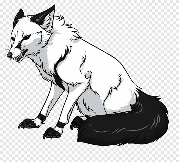 Рисунок Красная лиса Серый волк, акварель лиса, млекопитающее, животные png