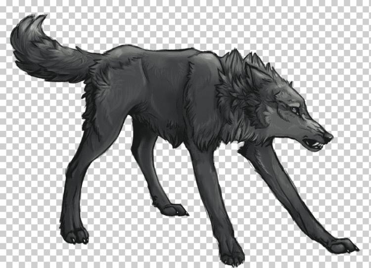 Серый волк аниме фан арт, аниме, carnivoran, фотография, собака png