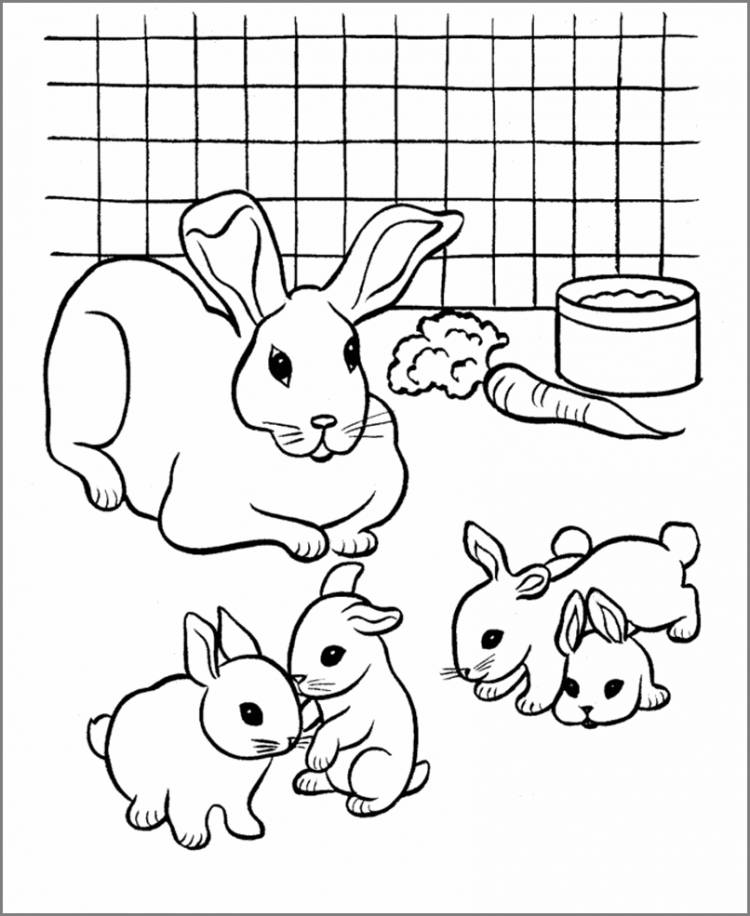 Картинки для срисовки животных