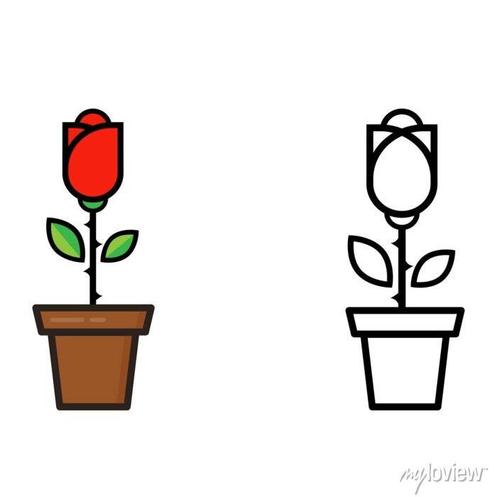 Мультфильм красная роза в горшке и роза наброски задать вектор плакаты на стену