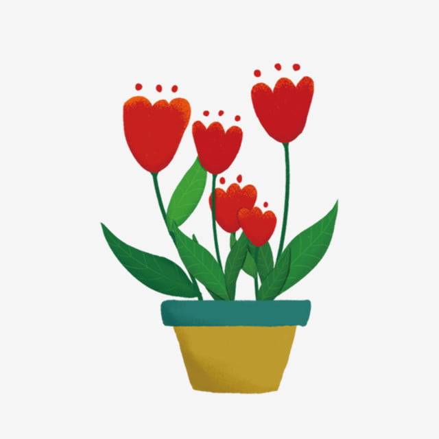 Рисованной мультипликация Растение в горшке цветы PNG , Цветы, лист, бонсай PNG картинки и пнг PSD рисунок для бесплатной загрузки