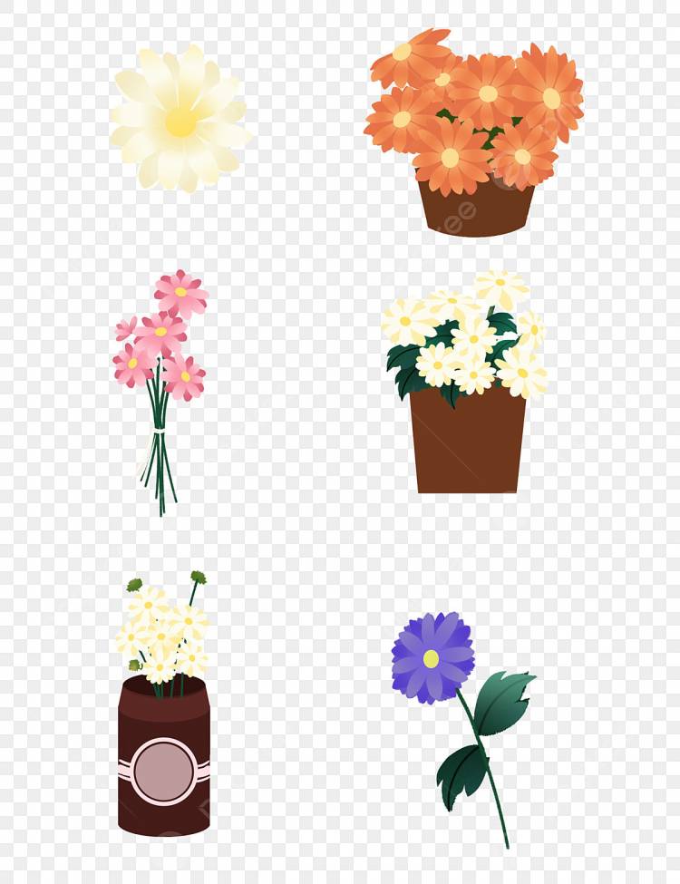 цветы в горшках PNG рисунок, картинки и пнг прозрачный для бесплатной загрузки