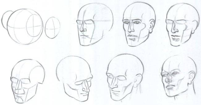 Как нарисовать голову человека? Пропорции головы и лица