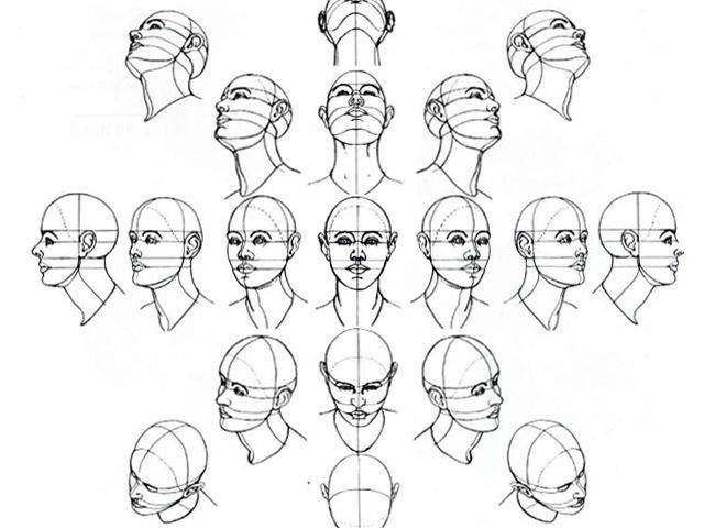Как рисовать лицо, голову, с разных ракурсов поэтапно?