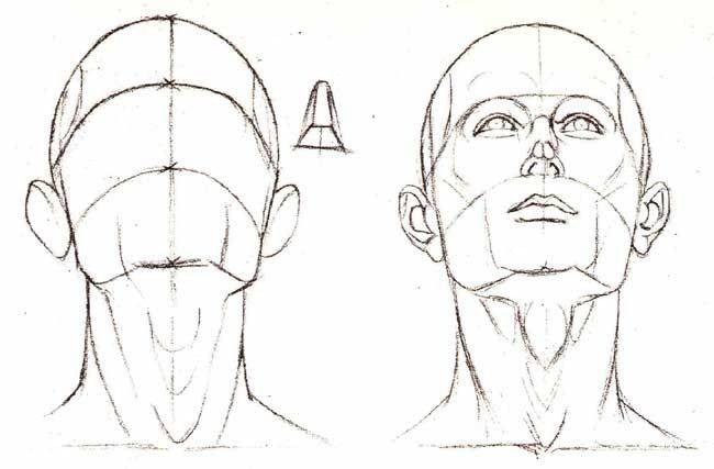 Как рисовать лицо, голову, с разных ракурсов поэтапно?