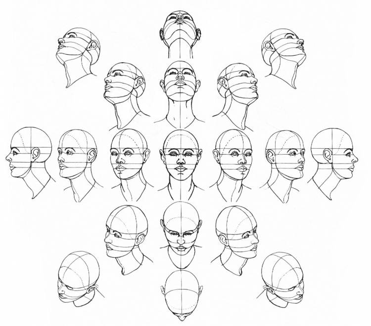 Рисунок головы в разных ракурсах