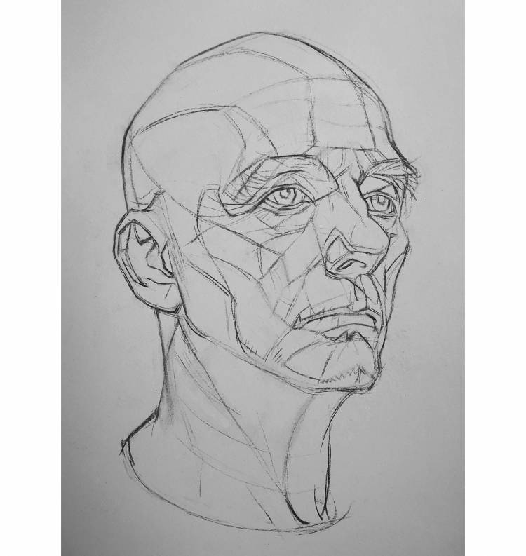 Как рисовать голову с разных ракурсов и создавать максимально реалистичные портреты