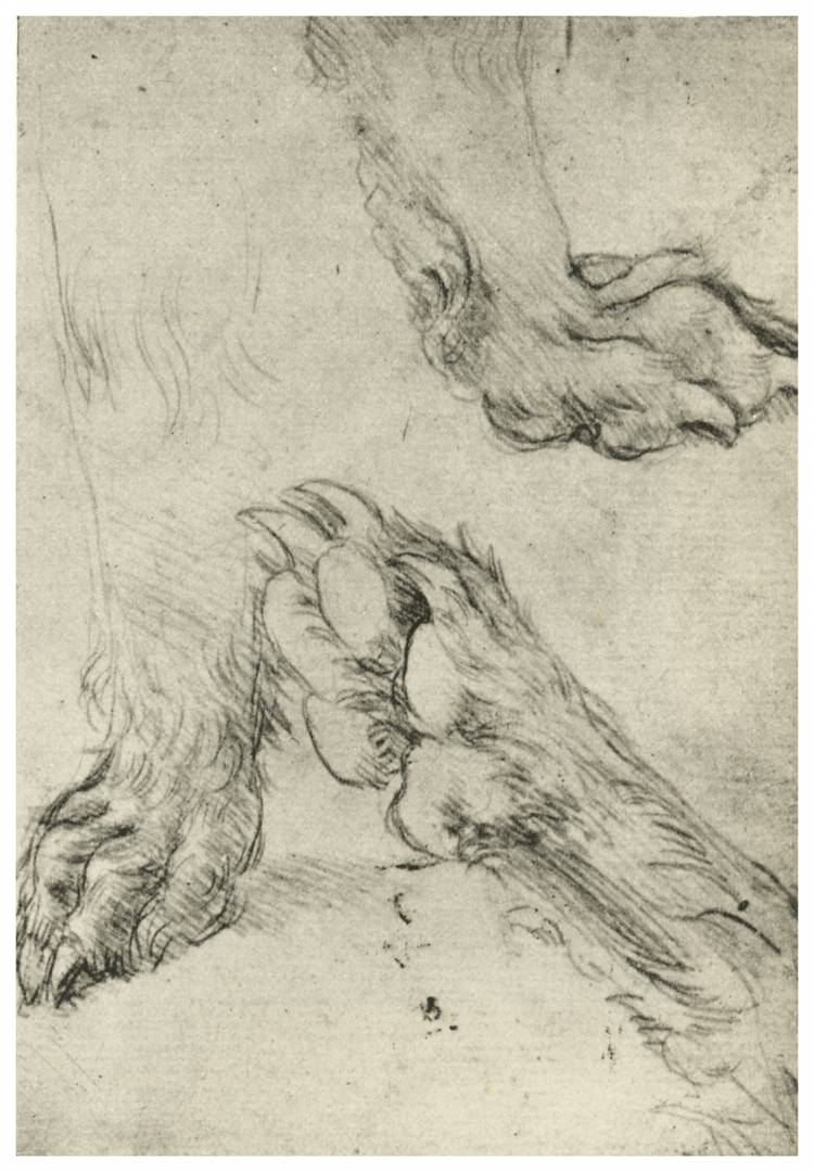Коллекция работ (живопись, рисунки, эскизы, наброски) великого Леонардо да Винчи 