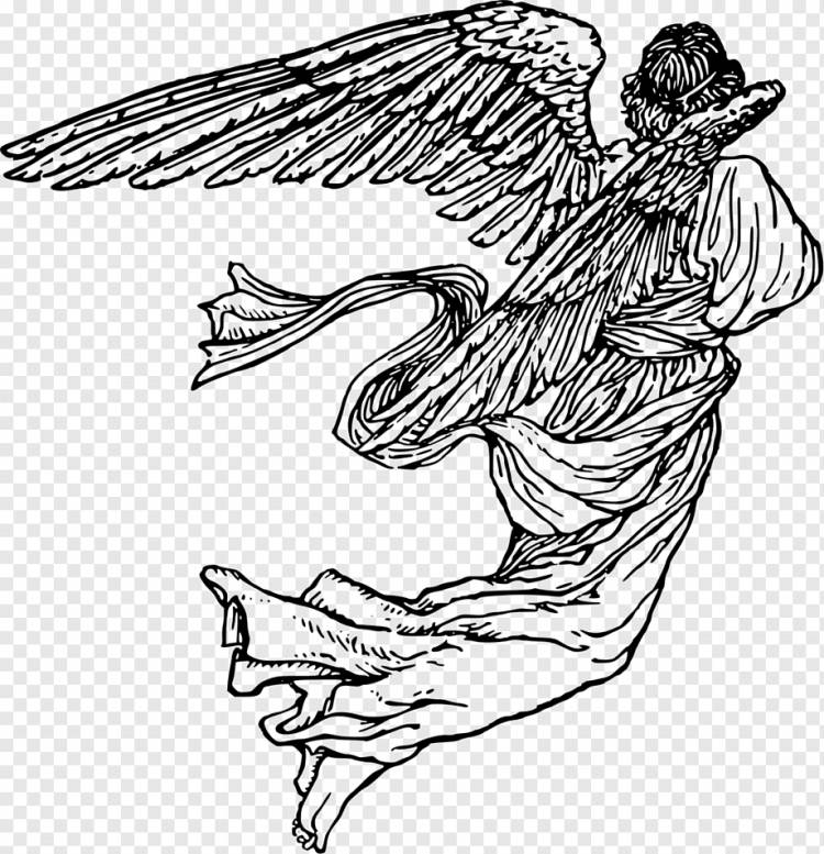 Рисунок Ангел Лайн арт, ангел, угол, позвоночный, монохромный png