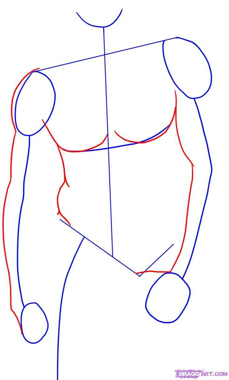 Как нарисовать красивое тело мужчины карандашом поэтапно