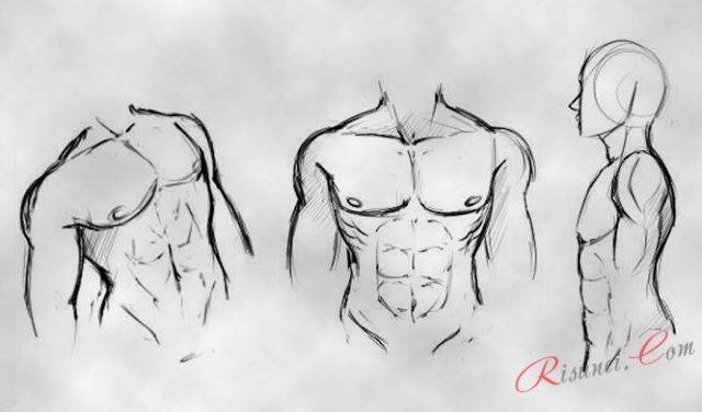 Рисунки карандашом тело мужчины 