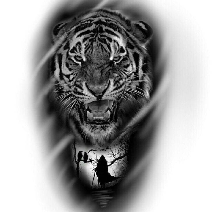 тигр с короной эскиз