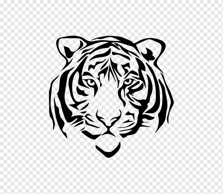 Рисунок белого тигра, эскиз тигра, белый, млекопитающее, лицо png