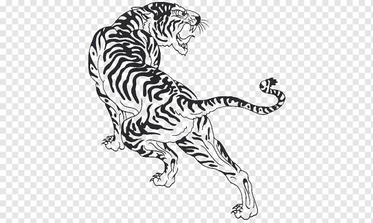 эскиз тигра, тигровая кошка Felidae Черно-белые штриховые рисунки, татуировки тигра, белый, млекопитающее, кошка png