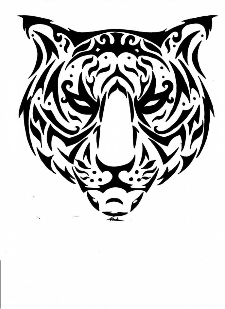 Тигр эскиз 