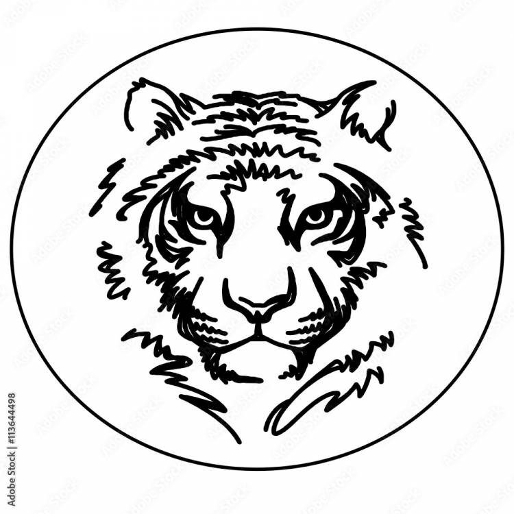 Эскиз татуировки тигр Stock Vector