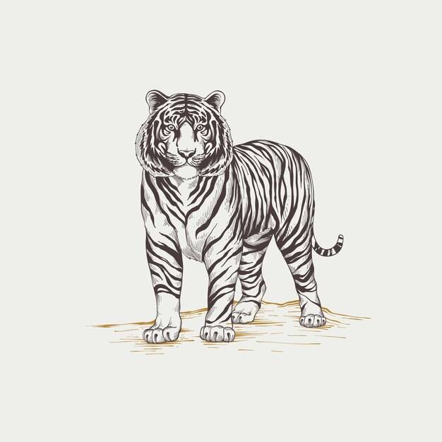 Тигр эскиз Изображения