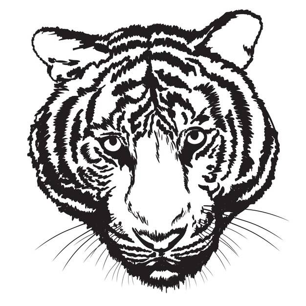 Тигр эскиз свободной руки с цифровой кистью
