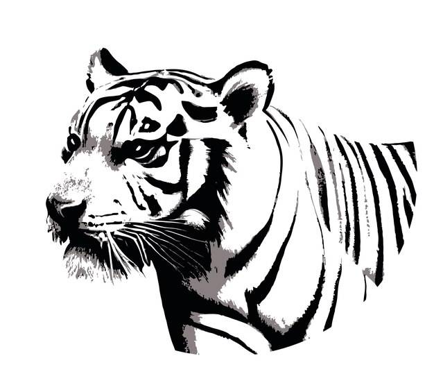 Эскиз портрета тигра
