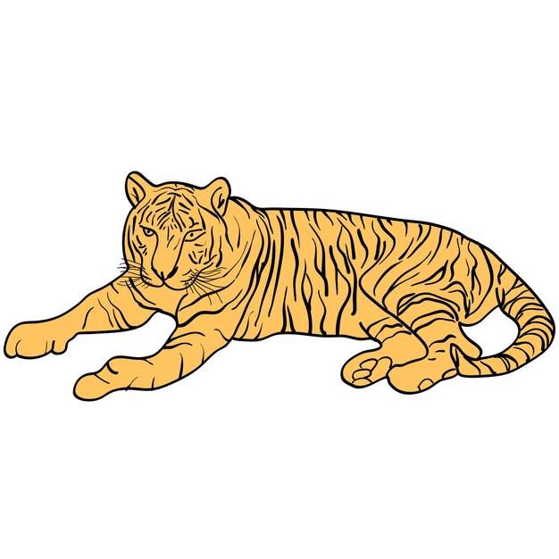 Эскиз красивый тигр на белом фоне векторные иллюстрации