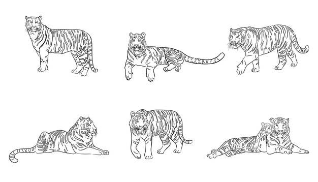 Набор рисованной тигров