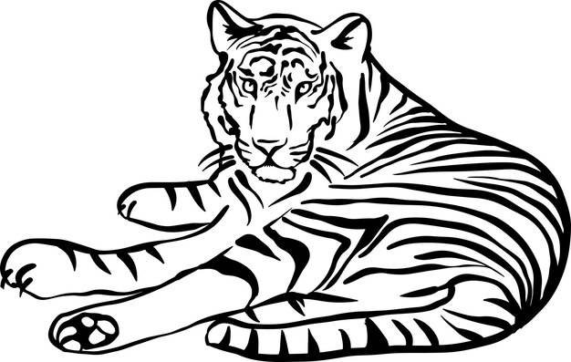 Тигр черно-белый простой рисунок векторные иллюстрации