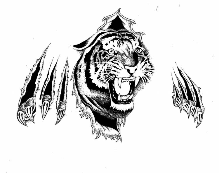 Тигр татуировка эскиз